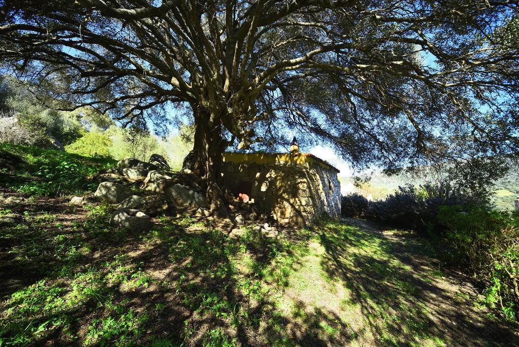 Lu Rotu Villa Sant'Antonio di Gallura Luaran gambar